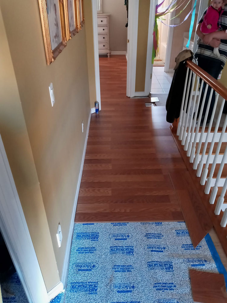 images/gallery/29.jpg#joomlaImage://local-images/gallery/29.jpg?width=750&height=1000